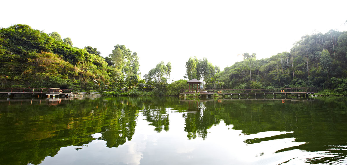 ����ϣ��williamhill(�й�)-�ٷ���վ